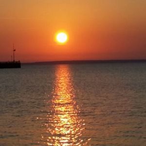 Meet your Posher, Carolina